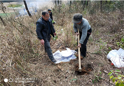 邵陽市大祥區(qū)積極做好林業(yè)有害生物防治工作