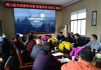 林場(chǎng)管理智慧化 引領(lǐng)數(shù)字林業(yè)新篇章